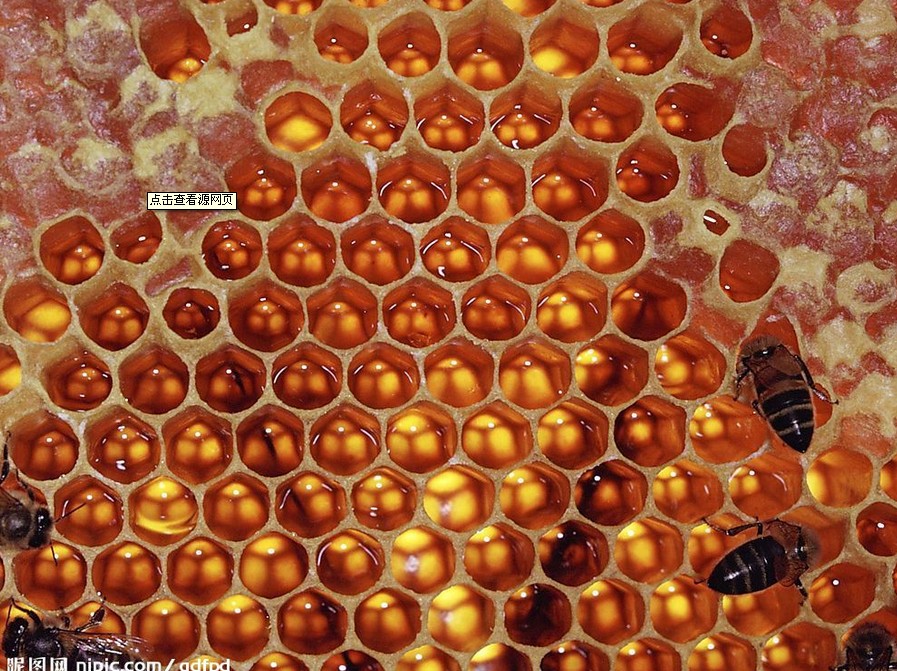 �ٻ�����