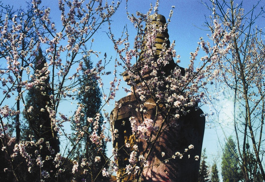 ��ɮ����